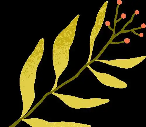 长沙学院智能检测实验室：助学生就业考研，独特模式成效显著