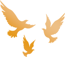 走进信息工程学院实验室：计算机与安环中心助力实践教学