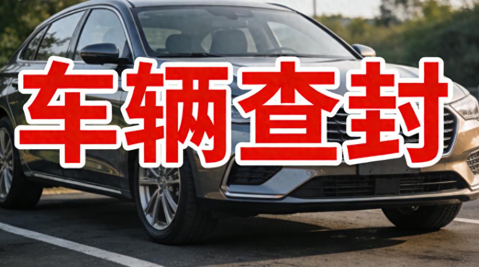 车辆被查封怎么办？4种方法查清查封信息，新手也能轻松上手