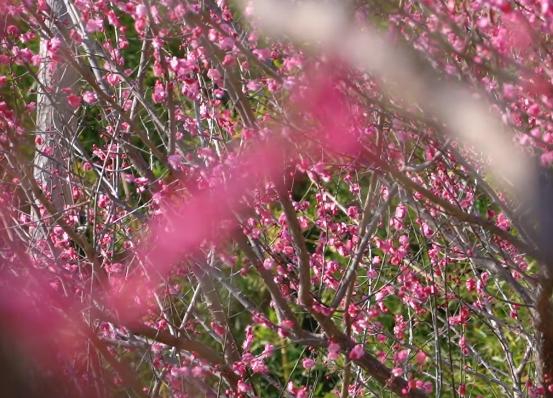 高考倒计时100天!山大学长学姐送学科秘籍助力冲刺