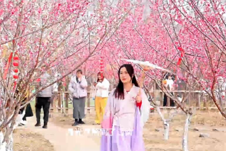 高考倒计时100天!山大学长学姐送学科秘籍助力冲刺