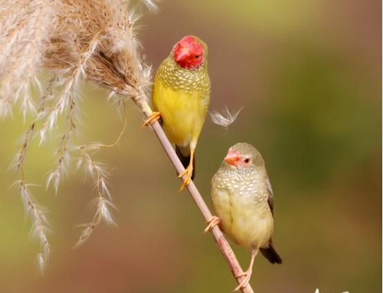 高考倒计时100天!山大学长学姐送学科秘籍助力冲刺