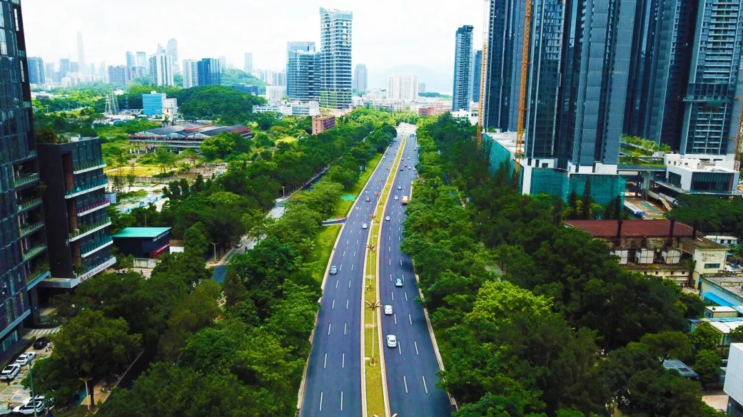 端午高速不免费!2022端午放假通知、广州限行及防疫政策汇总