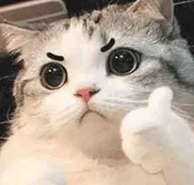 高速节假日免费通行政策实施细节全解答,含时段、车辆等疑问