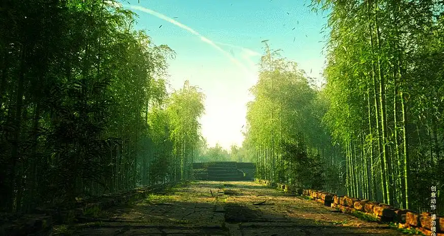 冬奥会成品牌展示舞台,安踏凭啥成服装赞助商脱颖而出?