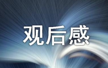 2021冬奥会纪录片筑梦冬奥观后感及场馆、吉祥物介绍