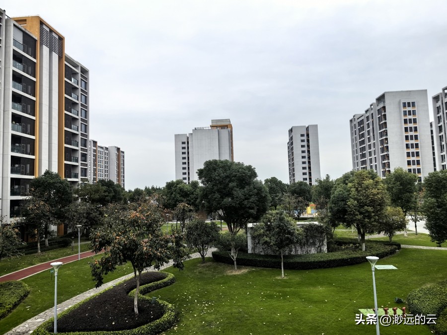 大学学费乱象:国内生六千外籍生三十五万,高校做法引吐槽