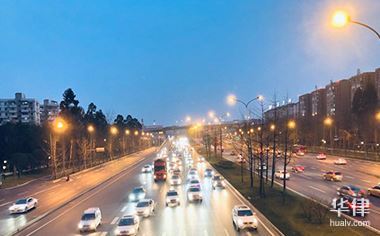 高速撞车处理赔偿全流程及撞到狗保险公司理赔情况