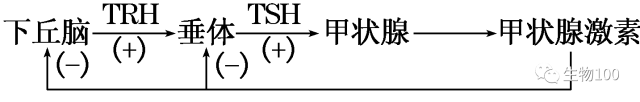 高考生物必背要点：染色体变异、进化与生物多样性核心考点
