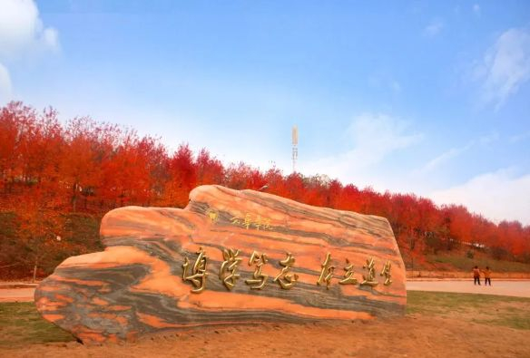 新技术冲击下，看各地高校如何推进‘新文科建设’及AI赋能文科