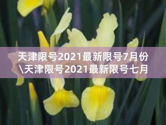 天津限号限行最新消息，2021年外地车限行规定全知道