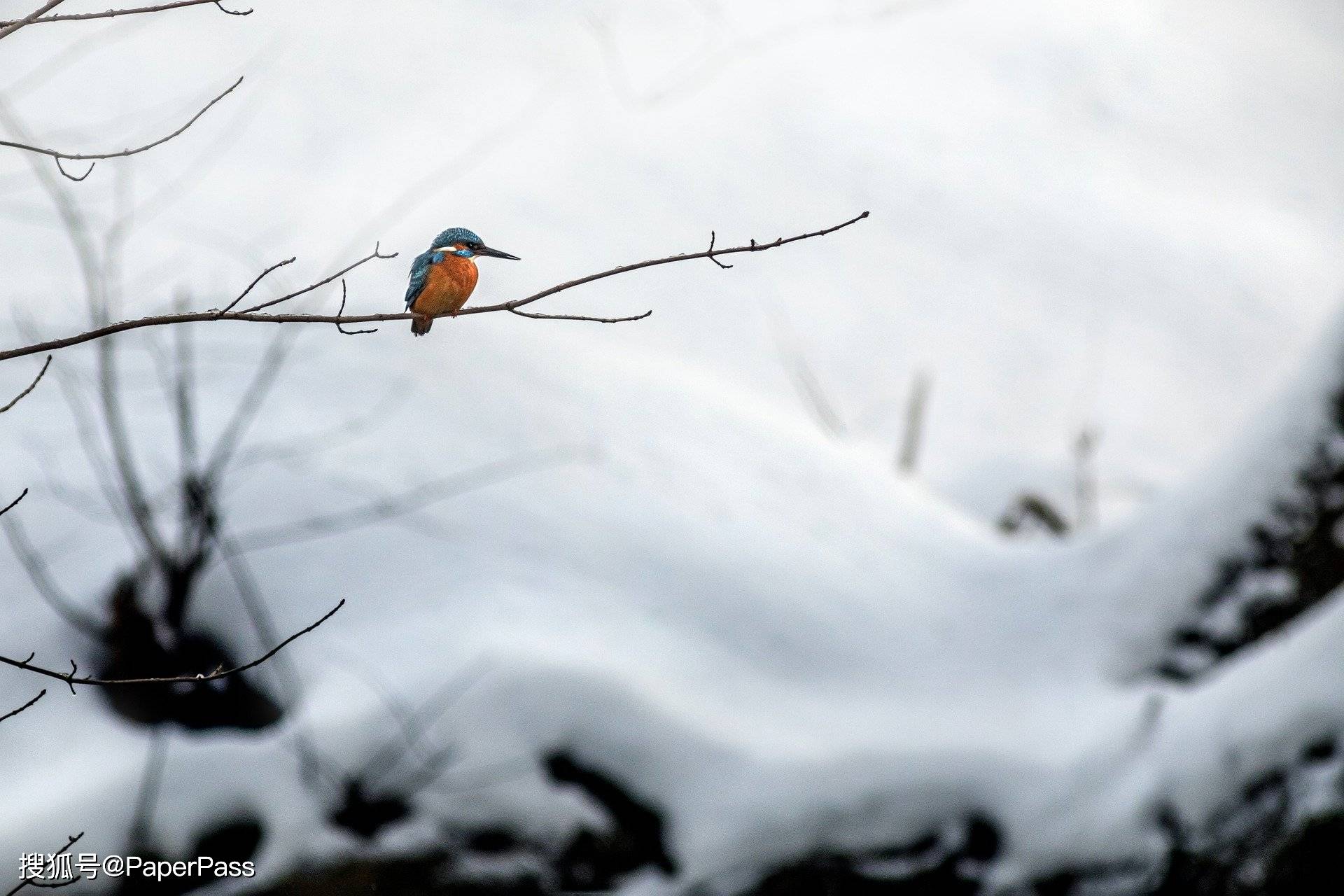 大学社交现状:社恐怎么办?如何突破大学社交圈?