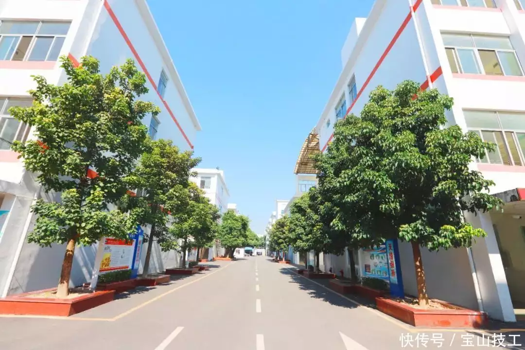 技校生就业为何比大学生好？原因竟然是这个